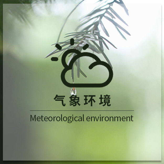 氣象環境
